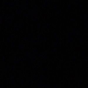 Meet your Posher, Rose